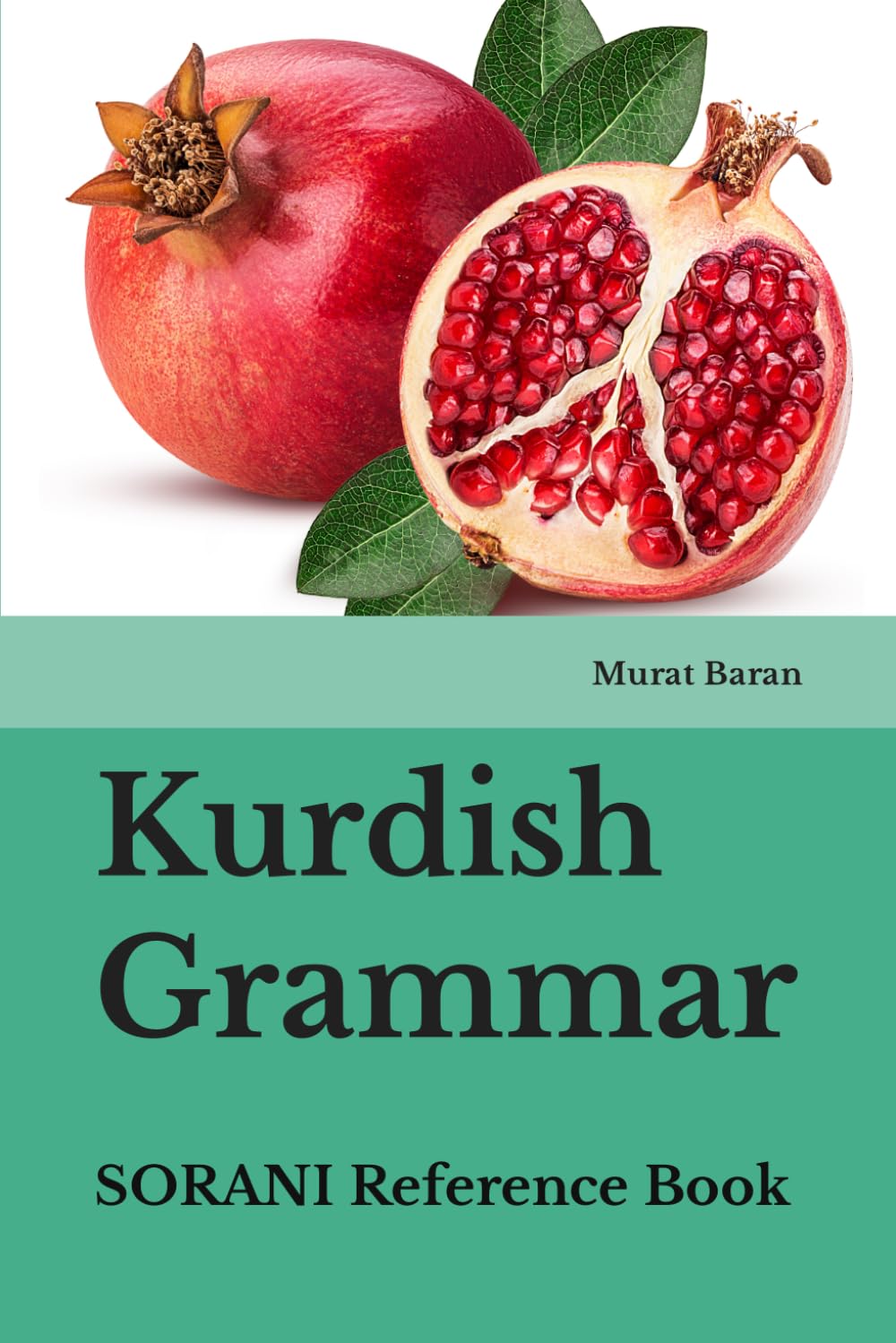 Kurdish Grammar: SORANI Reference Book Original PDF